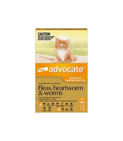 pet-product-cats-health-1-0.jpg