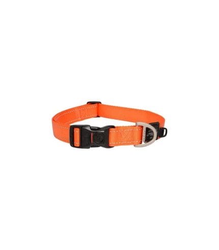 pet-product-dogs-leashes-1-0.jpg
