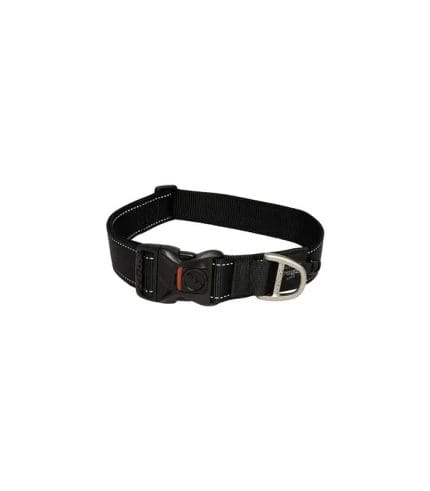 pet-product-dogs-leashes-1-1.jpg