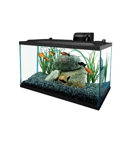 pet-product-more-pets-fish-8-0.jpg